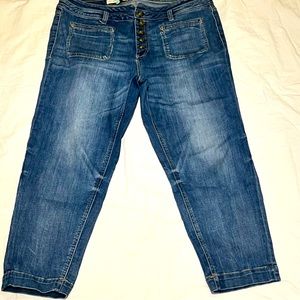 Anrhropologie Pilcro High Rise Slim  stretch demin Waist 19 1/2 in | Inseam 26